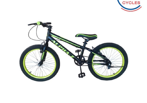 ALPHA 20' BICYCLE